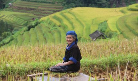 du lịch mù cang chải