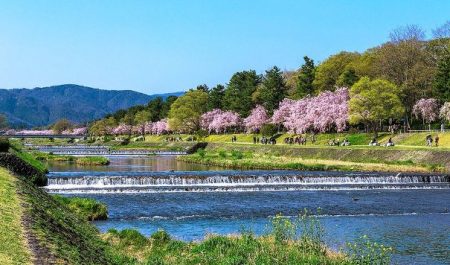 địa điểm ngắm hoa anh đào sông takano