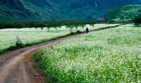 du lịch Mai Châu tự túc