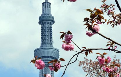 tháp tokyo