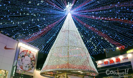 Lễ hội cây thông noel