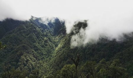 Núi rừng sapa