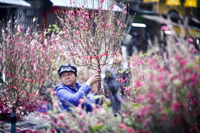 Sắm hoa Tết tại những chợ hoa nổi tiếng nhất Hà Nội