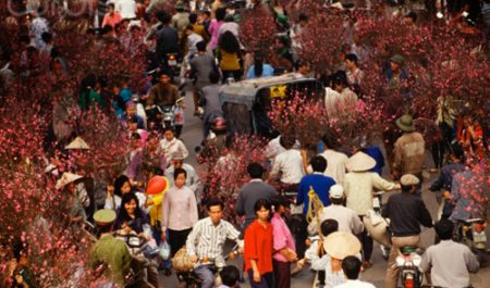 People Carrying Plum Tree Branches