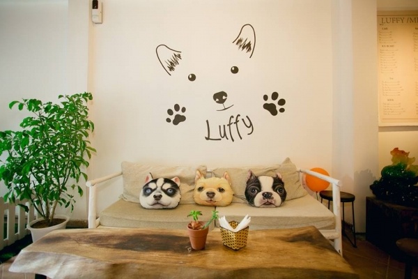 Luffy coffee- Pet coffee Hà Nội
