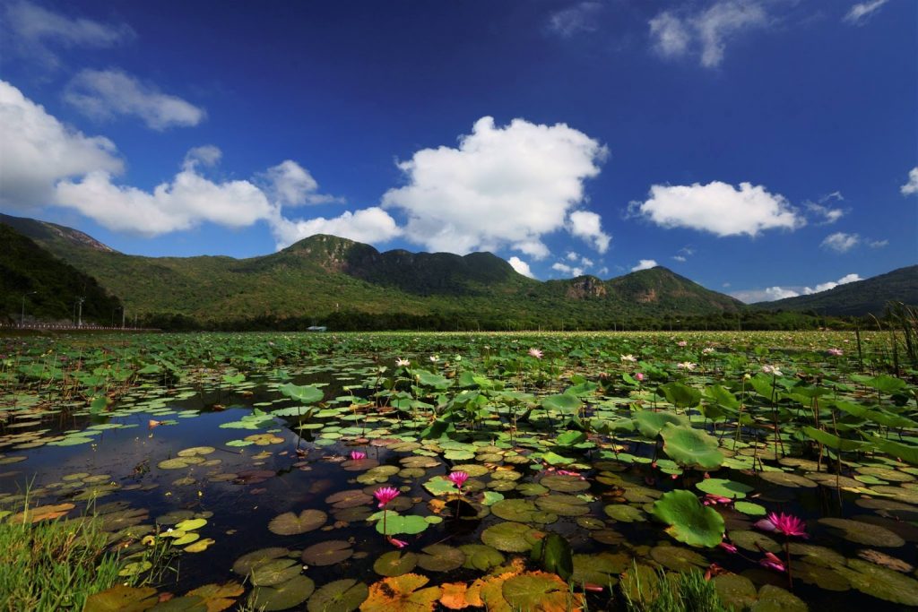 Hồ An Hải Côn Đảo 