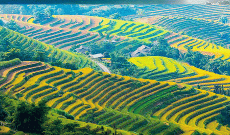 sắc-màu-bản-luốc