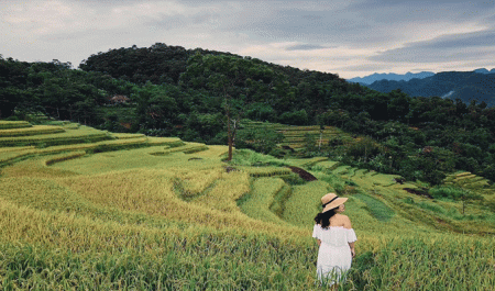 Pù Luông – Thả hồn giữa mùa lúa chín