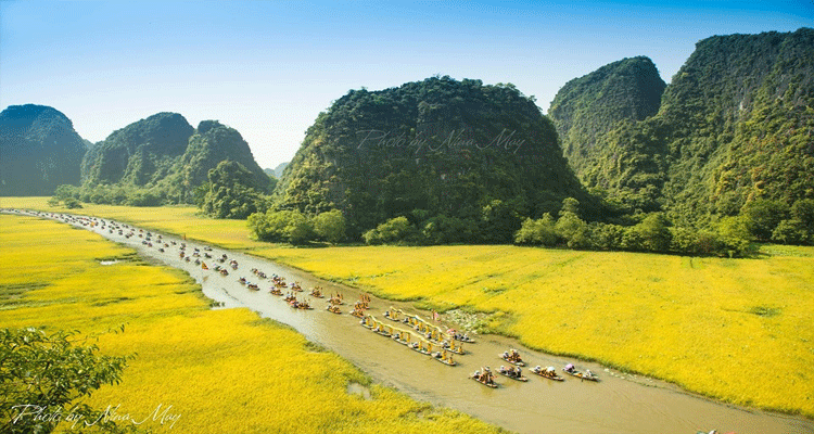 Lễ hội “sắc vàng Tam Cốc” trên sông Ngô Đồng
