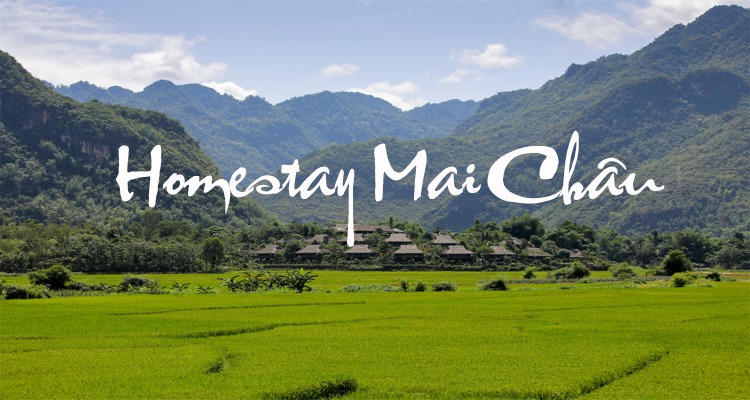 Tổng hợp 10 homestay Mai Châu có view đẹp nhất mà bạn nên trải nghiệm