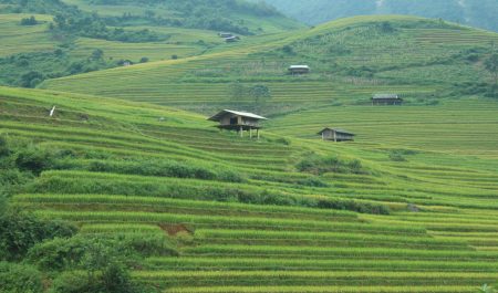 Dọc đường đi thị trấn Mù Cang Chải