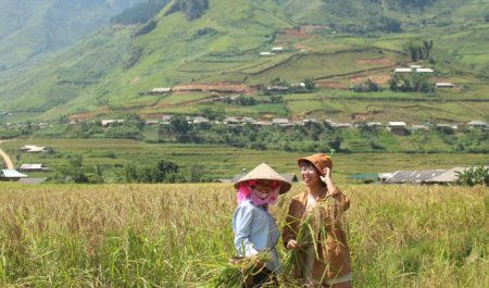 địa điểm chụp ảnh đẹp Mù Cang Chải