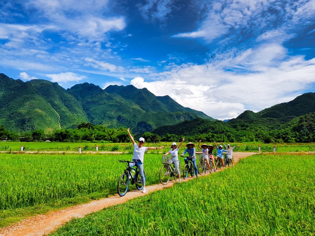  Tham gia vào những trải nghiệm thú vị như đạp xe quanh ruộng lúa, đi dạo trong vườn hoa, bơi lội hay đơn giản là tận hưởng những phút giây trong lành.