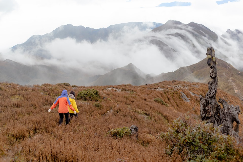 Tà Chì Nhù không chỉ được biết đến là một điểm săn mây cực kỳ đẹp mà còn nổi tiếng với những đồi hoa tím dại phủ kín cả núi rừng vào tháng 9, tháng 10.