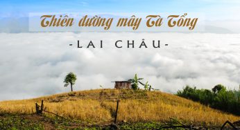 Thiên đường mây Tà Tổng – vẻ đẹp dịu dàng giữa núi rừng Lai Châu