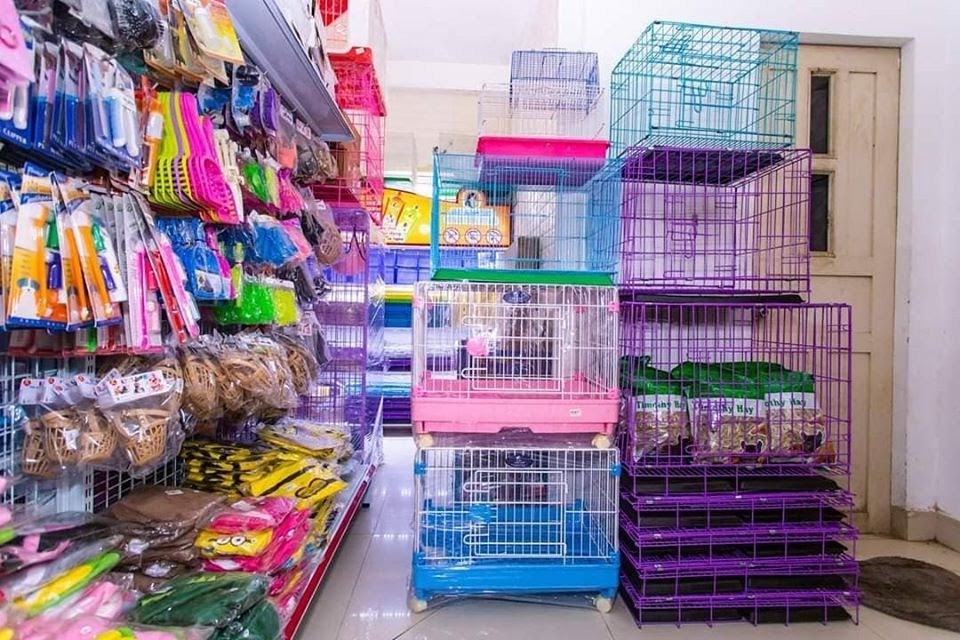 Shop phụ kiện thú cưng Đà Nẵng chất lượng