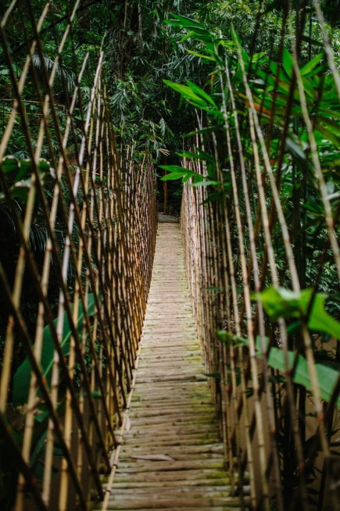 Bambu Indah, Ubud
