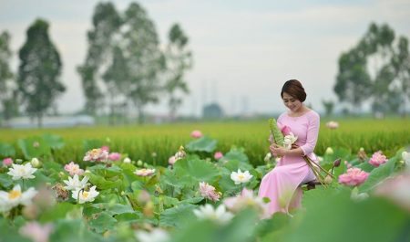 Đầm sen ở Hà Nội