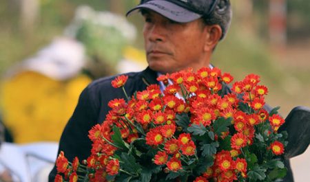 Chợ hoa ngày Tết Hà Nội