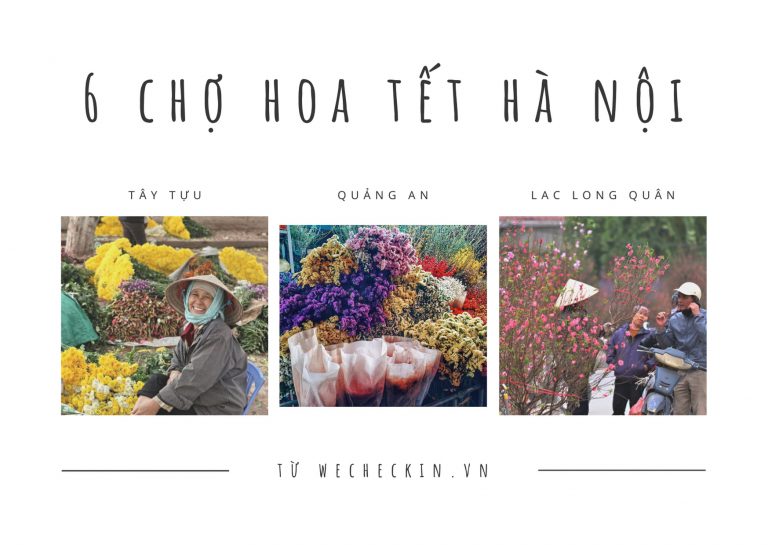 Dạo quanh 6 chợ hoa Tết Hà Nội nổi tiếng | 2022 cập nhật