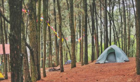 Địa điểm cắm trại ở Sóc Sơn Hà Nội