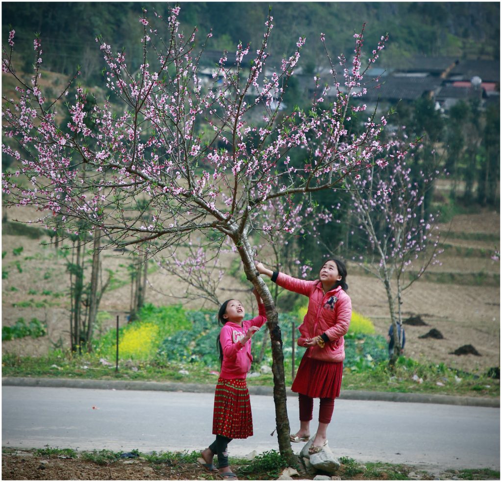  Du lịch Hà Giang tháng 3 mùa xuân – mùa đẹp nhất trong năm