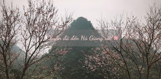 Xuân về trên Hà Giang – Đừng bỏ lỡ điều thú vị khi du lịch Hà Giang tháng 3