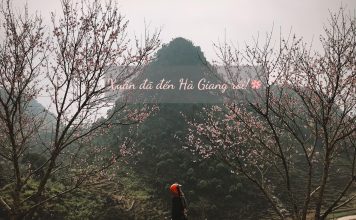 Xuân về trên Hà Giang – Đừng bỏ lỡ điều thú vị khi du lịch Hà Giang tháng 3
