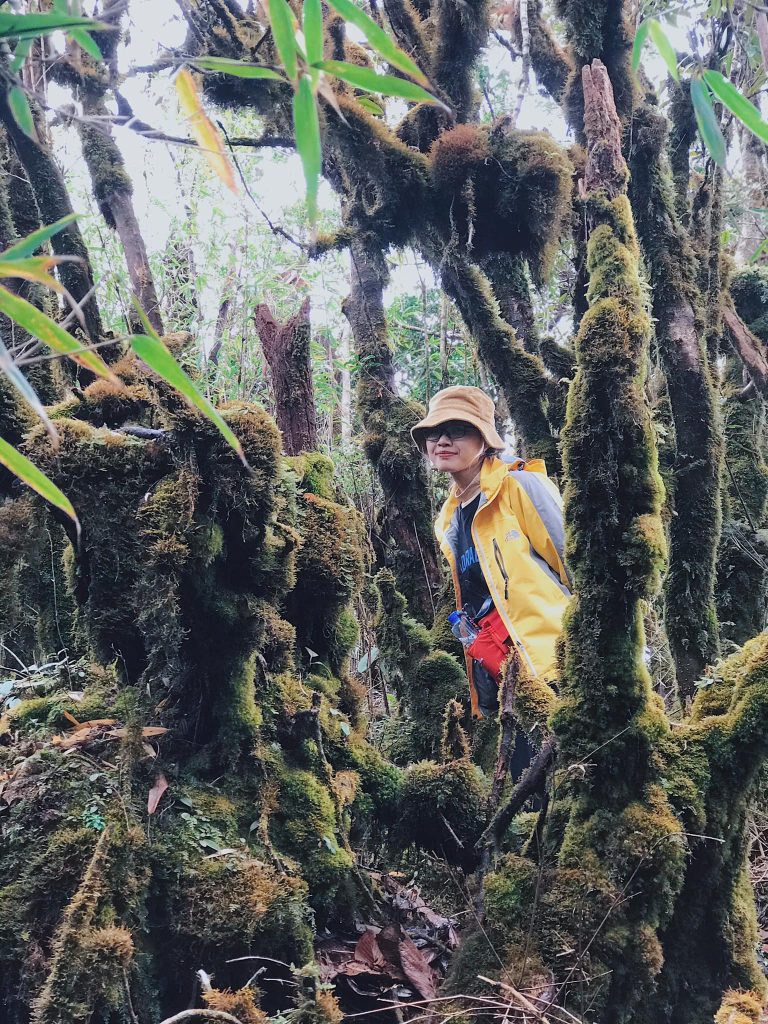 Kinh nghiệm trekking Pusilung – Chinh phục nóc nhà nơi biên giới