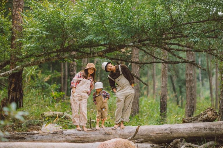Top 7 rừng thông Đà Lạt đẹp nhất mà giới trẻ mê mẩn check-in