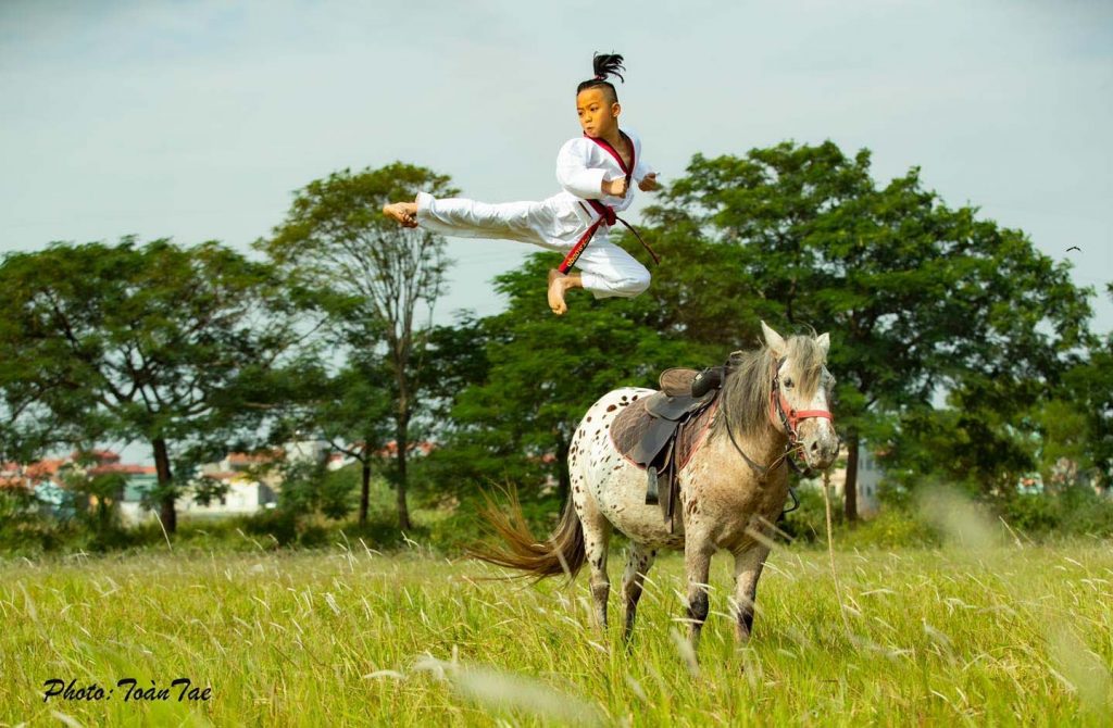 Địa điểm học cưỡi ngựa tại Hà Nội