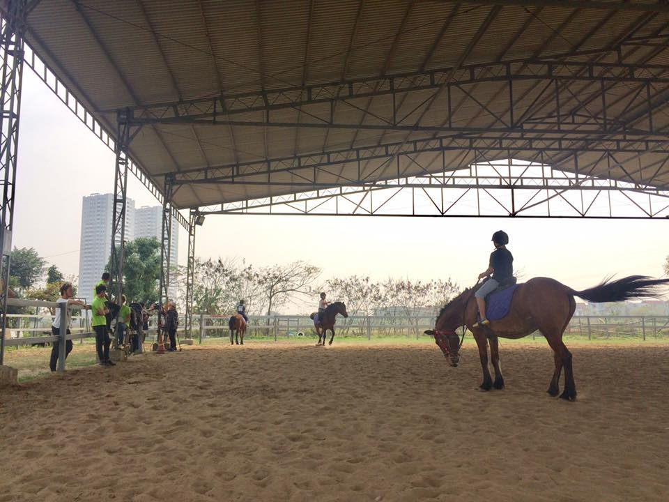 Câu lạc bộ học cưỡi ngựa Hà Nội