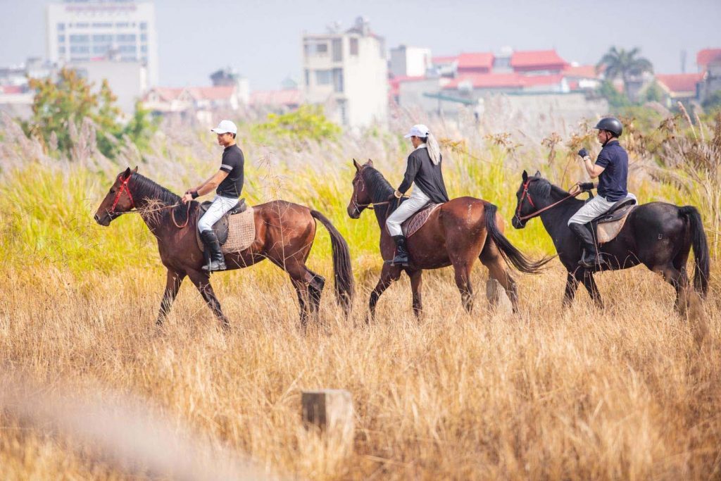 Địa điểm cưỡi ngựa tại Hà Nội
